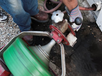 Drain Cleaning/Backflow